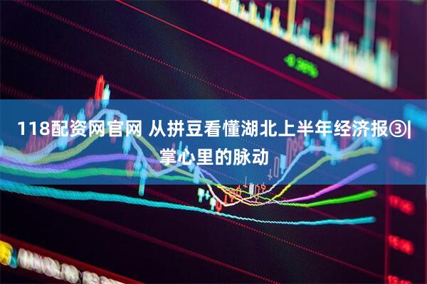 118配资网官网 从拼豆看懂湖北上半年经济报③|掌心里的脉动