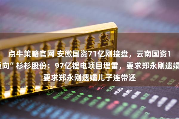 点牛策略官网 安徽国资71亿刚接盘，云南国资19亿诉讼“砸向”杉杉股份：97亿锂电项目埋雷，要求郑永刚遗孀儿子连带还