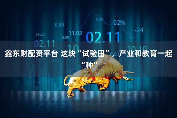 鑫东财配资平台 这块“试验田”，产业和教育一起“种”